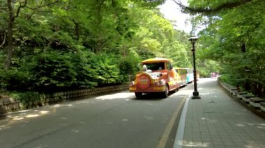 Tuna treni Taejongdae, Busan, Güney Kore, Asya 'dan geçiyor.