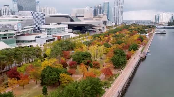 Flygfoto Över Hösten Naru Park Centum City Busan Sydkorea Asien — Stockvideo