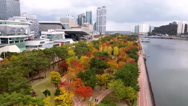 Letecký Pohled Podzimní Park Naru Centum City Busan Jižní Korea — Stock video
