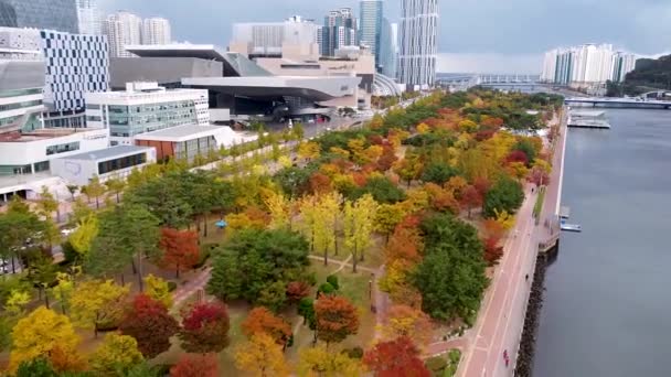 Letecký Pohled Podzimní Park Naru Centum City Busan Jižní Korea — Stock video