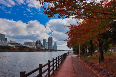 Autumn Naru Parkı, Centum Şehri, Busan, Güney Kore, Asya