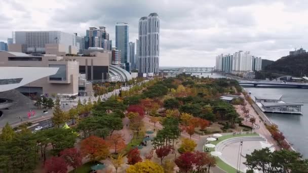 Vedere Aeriană Parcului Autumn Naru Centum City Haeundae Busan Coreea — Videoclip de stoc