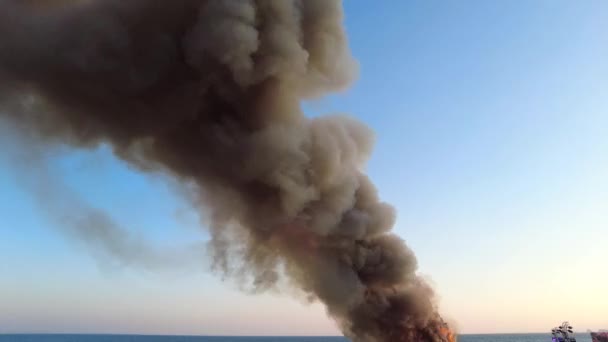 대한민국 아시아 해변에서 태우는 — 비디오