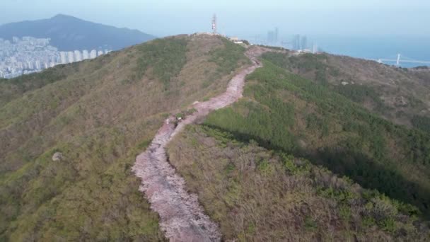 Camino Flores Cerezo Hwangryeongsan Mountain Busan Corea Del Sur Asia — Vídeo de stock