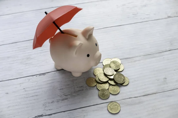 Concept of Money, investments,savings with a safety and protection concept. Red umbrella cover piggybank.