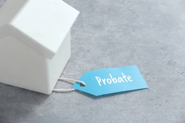 'Proje' sözcüğünü gösteren mavi etiketli oyuncak evi