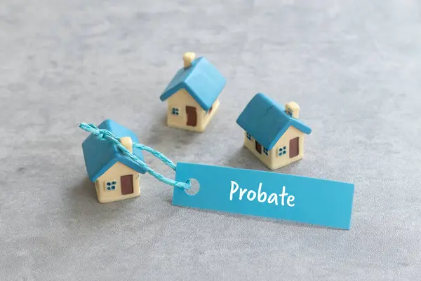 'Proje' sözcüğünü gösteren mavi etiketli oyuncak evi