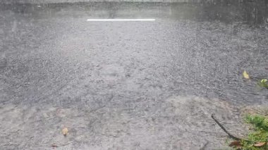 Doğanın Kucakladığı Su Altındaki Bir Yol 'a Yağan Yağmur
