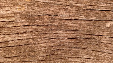 Sıcak Kahverengi Tonlar ve Görünür Tahıl Örnekleri ile Doğal Tahta Dokusunun Yakın Çekimi