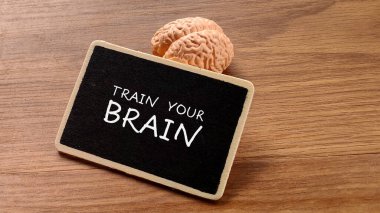 Beyin Modeli ve Karatahta ile Beyin Kavramınızı Eğitin