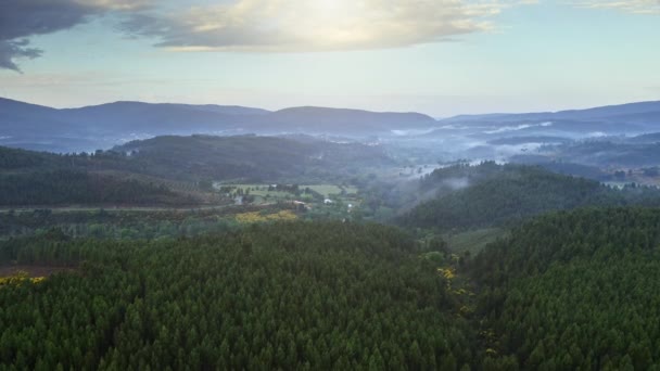 위에서 영감을 포르투갈 파노라마의 산봉우리를 나무들로 산비탈의 계곡에 마을에서 무인기를 — 비디오