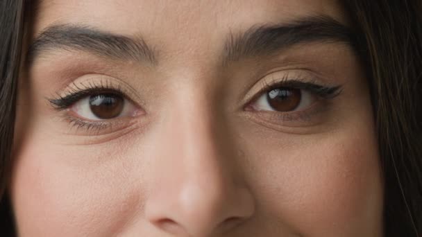 Κοντινό Πλάνο Θηλυκό Σκούρα Μαύρα Μάτια Φυσικό Μακιγιάζ Eyeliner Στο — Αρχείο Βίντεο