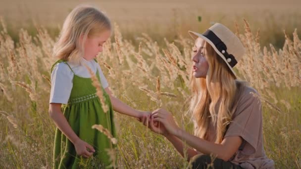 白人の美しいですお母さんの女性で帽子遊びで子供の女の子で芝生の中でフィールド小麦工場で楽しい話をしています小さな娘と自然開発小麦工場を探索屋外 — ストック動画