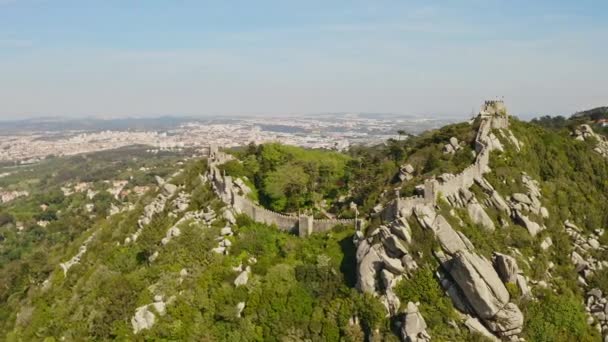 Aerial View Green Mountains Forest Άγρια Φύση Στο Sintra Πορτογαλία — Αρχείο Βίντεο