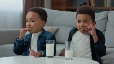 Little small African American boys kids schoolboys friends drink milk eat cookies at morning breakfast before school. Ethnic preschool children drinking milky beverage with glass indoors eating pupils