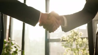 Close-up two men shake hands in office near window sunny sun background. Unrecognizable partners diverse businessmen conclude successful agreement support partnership cooperation greeting handshaking