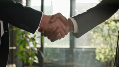 Close-up male office corporate handshaking. Two unrecognizable men shake hands in company meeting sunny sun background. Diverse businessmen handshake successful business deal partnership cooperation