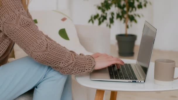 Close Female Hands Typing Laptop Living Room Unrecognizable Business Woman — Stock videók