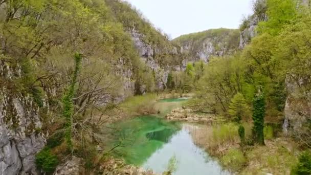 Aerial View Plitvice Lakes National Park Unesco Lake Croatia Drone — ストック動画