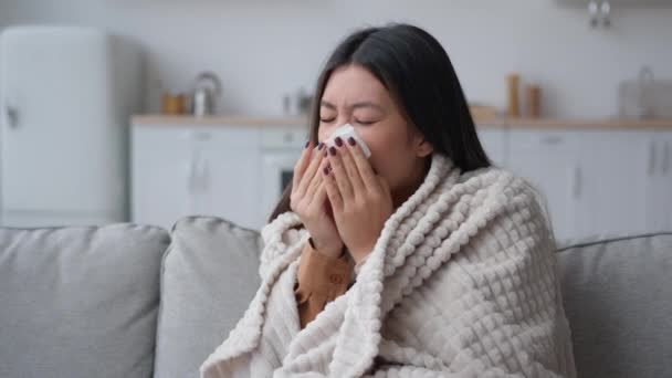 기사보기 건강하지 아시아 건강하지 고질병 집에서 담요로 재채기를 감기에 코알러 — 비디오