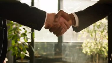 Ofiste el sıkışan erkek eli, el sıkışma hareketi yapıyor. Güneşli arka planda iki adam el sıkışıyor. Çeşitli işadamları iş ortaklığı anlaşmasını kutladılar