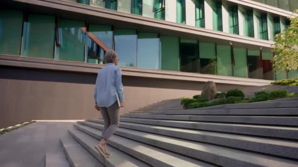 バックビュー ビジネスウーマン 中年女性マネージャー Ceo 起業家リーダー プロの弁護士 オフィスビル シティ ビジネスセンター 階段を登るステップを歩くために屋外を歩く — ストック動画