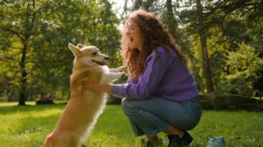 Neşeli Kafkasyalı kadın akıllı küçük köpekle oynuyor. Evcil hayvan parkında çulsuz Galli Corgi. Yaz şehri.