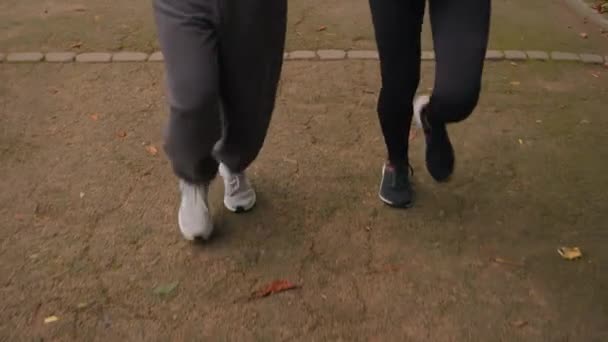 Обрезанный Снимок Женских Спортивных Ног Бегающих Городской Дороге Две Неизвестные — стоковое видео