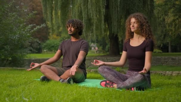 Dos Diversos Multirracial Chico Chica Meditando Zen Meditación Mañana Deporte — Vídeos de Stock