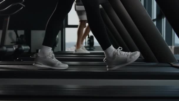 スポーツの人々 カップル運動ランナー スポーツシューズの女性と男性の筋肉脚の足はトレッドミルで実行 フィットネスジムジョギング スニーカー 動きのためのステップ ウォーキング マシンで歩く — ストック動画