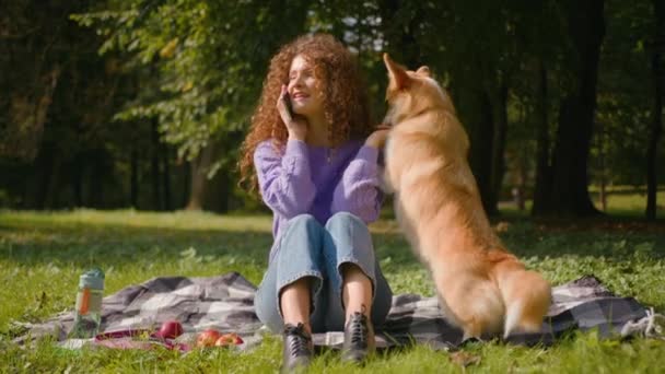 白种人快乐的20多岁的女人养狗的女孩坐在毛毯上 打电话给智能手机 在城市公园里讲手机 在公园里玩耍的小狗玩耍爱玩宠物 — 图库视频影像