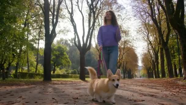 Kaukaski Młody Kobieta Dziewczyna Kobieta Zwierzę Właściciel Handler Krok Pies — Wideo stockowe