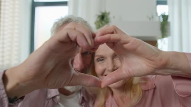 クローズアップ健康な高齢者コーカサス家族のカップルは 結合された指を通して見て 心の形のシンボルバレンタインデーを祝うロマンチックな関係永遠の愛幸せな長寿の結婚の概念 — ストック動画