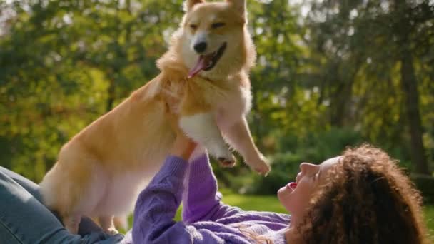 在夏季的城市公园里 一条纯种的狗与小女孩玩耍 拥抱在户外宠物友好的生活方式中 躺在草地上 快乐的年轻女子与小朋友 毛绒绒小狗 家养宠物和主人的爱情拥抱在一起 — 图库视频影像