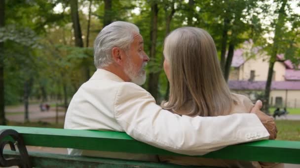 Powrót Widok Szczęśliwy Piękny Siwe Włosy Seniora Para Siedzi Ławce — Wideo stockowe