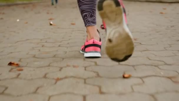 Κοντινό Πλάνο Γυναικεία Πόδια Πόδια Πόδια Τρέξιμο Στο Πάρκο Εξωτερικούς — Αρχείο Βίντεο