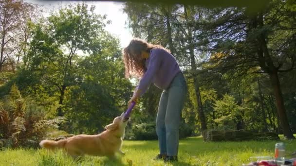 Jovem Mulher Pet Proprietário Brincando Com Filhote Cachorro Dourado Parque — Vídeo de Stock