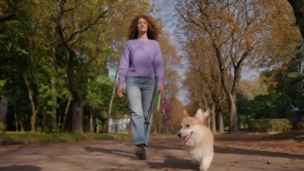 Genç Beyaz Bir Kadın Şirin Bir Arkadaşıyla Yürüyor Güz Parkında — Stok video