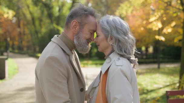Amor Viejo Pareja Abrazo Abrazo Juntos Parque Aire Libre Toque — Vídeos de Stock
