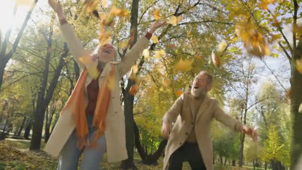 白种人的老两口笑着享受秋天公园里的假期疯狂无忧无虑的退休成年女人男人在大自然中放松在空气中抛掷黄叶快乐的家庭妻子丈夫在室外阳光灿烂的森林里 — 图库视频影像