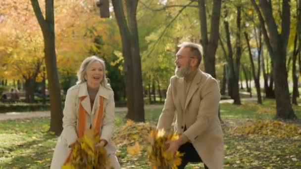 快乐无忧无虑的白种人夫妇爱退休的女人和男人一起扔黄叶在秋天的公园森林里一起享受落叶风趣成熟的老年女性欢呼嬉笑 — 图库视频影像