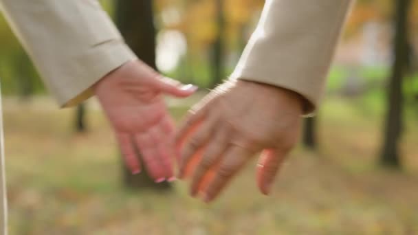 Close Segurando Mãos Casal Juntos Parque Livre Parceiros Meia Idade — Vídeo de Stock