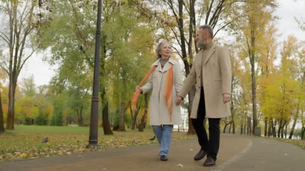快乐而优雅的一对老夫妇在秋天的公园里散步 享受着老年人与成熟女人在城外散步的快乐时光 六十岁的中老年男女祖父母在户外散步 — 图库视频影像
