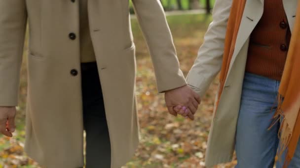 快乐的老夫老妻手牵手走在城市公园里快乐而成熟的白发苍苍的白人女人的妻子和丈夫在秋天的森林里散步开心地谈笑风生 — 图库视频影像