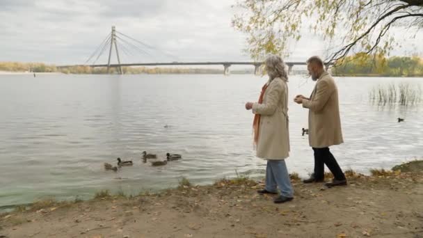 Ηλικιωμένοι Ζευγάρι Γυναίκα Άντρας Κοντά Στη Λίμνη Ρίχνουν Ψωμί Σίτιση — Αρχείο Βίντεο