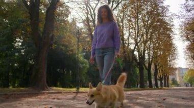 Köpek gezdiricisi tasmalı şirin bir köpek yavrusuyla sonbahar parkında yürüyor Kafkasyalı genç bayan evcil hayvan sahibi kadın idareci şehir caddesi boyunca güler yüzlü evcil hayvan yavrusuyla yürüyor