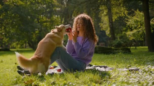 공원에서 자연에 소유자와 웨일스어 코르기 코카서스 놀라운 물리는 즐거운 강아지 — 비디오