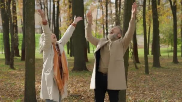 快乐的白种人夫妇成熟的女人老年男子60多岁的祖父母一起在秋天的公园假期扔树叶回到童年享受落叶快乐疯狂地拥抱快乐地拥抱 — 图库视频影像