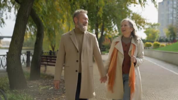 已婚白种人夫妇快乐的老妇人男人快乐的家庭浪漫的约会户外妻子和丈夫手牵着手在街上公园里走着六十个成年人在一起谈论着健康的关系 — 图库视频影像