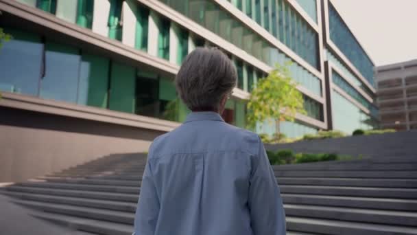 Задний Вид Седые Волосы Пожилая Женщина Бизнес Леди Поднимаясь Лестнице — стоковое видео